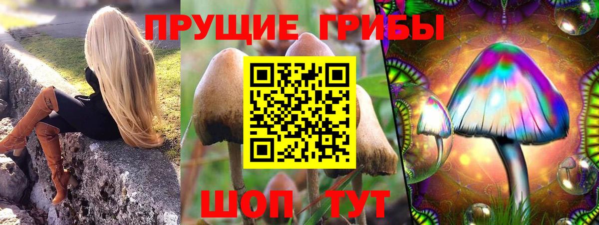 Псилоцибиновые грибы GOLDEN TEACHER  Псилоцибиновые грибы Psilocybe  Нефтекумск  Вход с VPN 